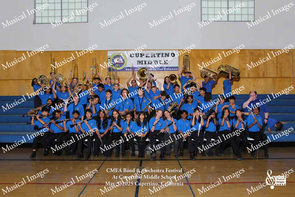 Musical Images